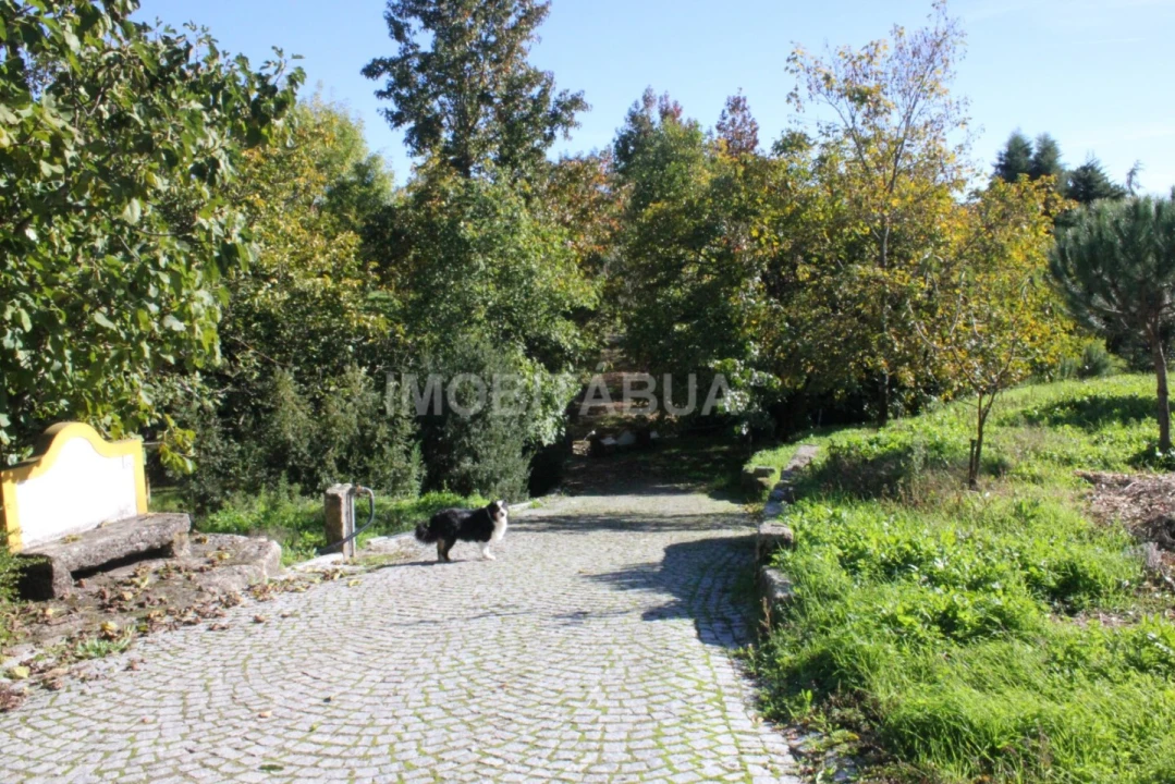 Quinta para Venda em Currelos, Papízios e Sobral Foto 4