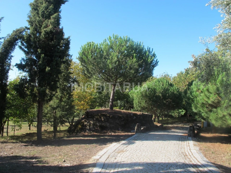 Quinta para Venda em Currelos, Papízios e Sobral Foto 5