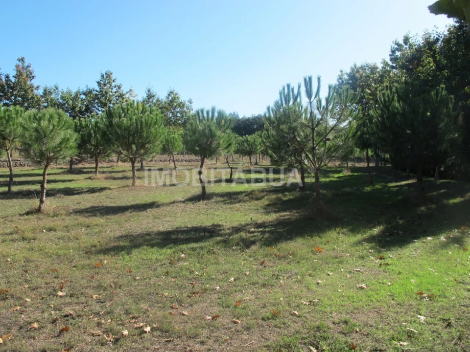 Quinta para Venda em Currelos, Papízios e Sobral Foto 16