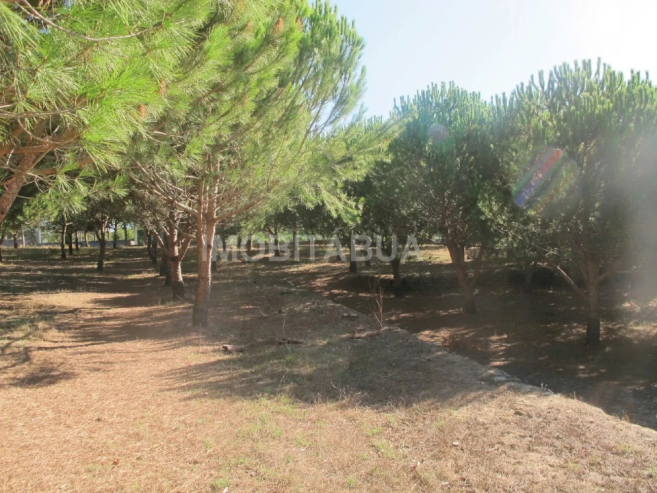 Quinta para Venda em Currelos, Papízios e Sobral Foto 22