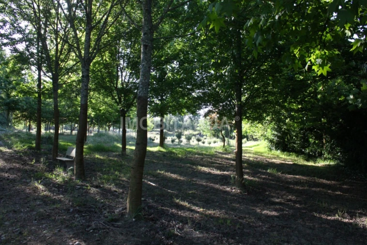 Quinta para Venda em Currelos, Papízios e Sobral Foto 2