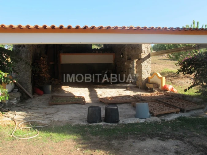 Quinta para Venda em Currelos, Papízios e Sobral Foto 12