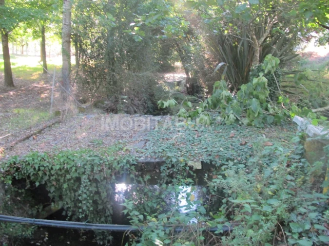 Quinta para Venda em Currelos, Papízios e Sobral Foto 13