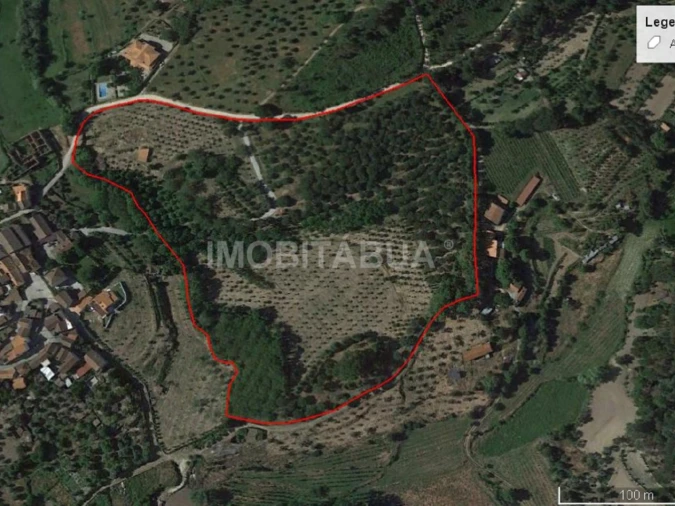 Quinta para Venda em Currelos, Papízios e Sobral Foto 23