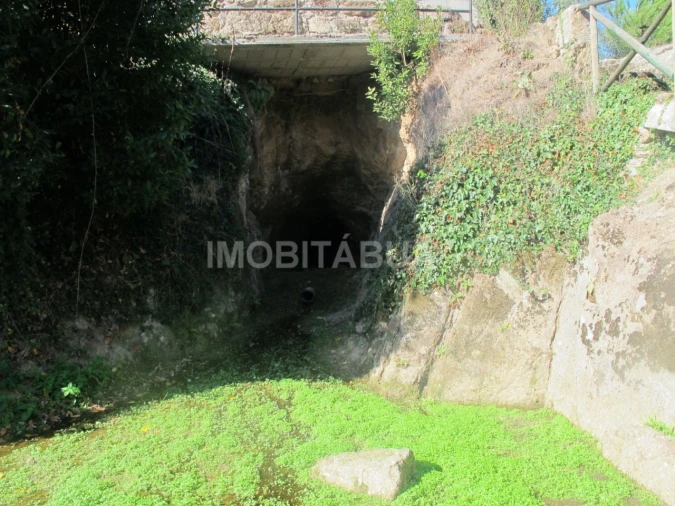 Quinta para Venda em Currelos, Papízios e Sobral Foto 14