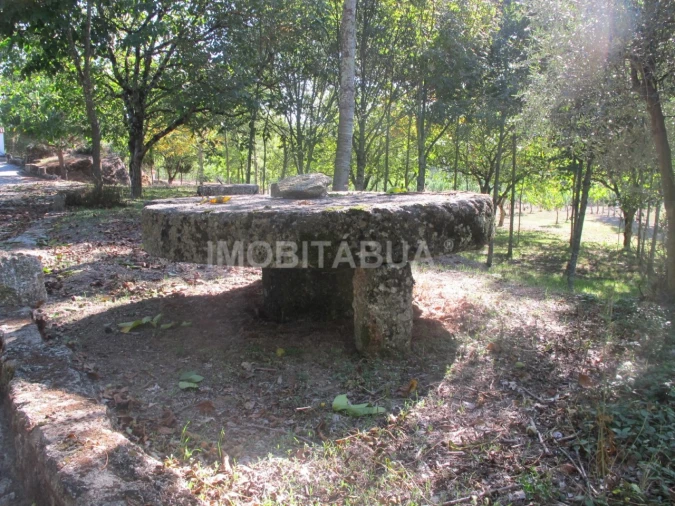 Quinta para Venda em Currelos, Papízios e Sobral Foto 15