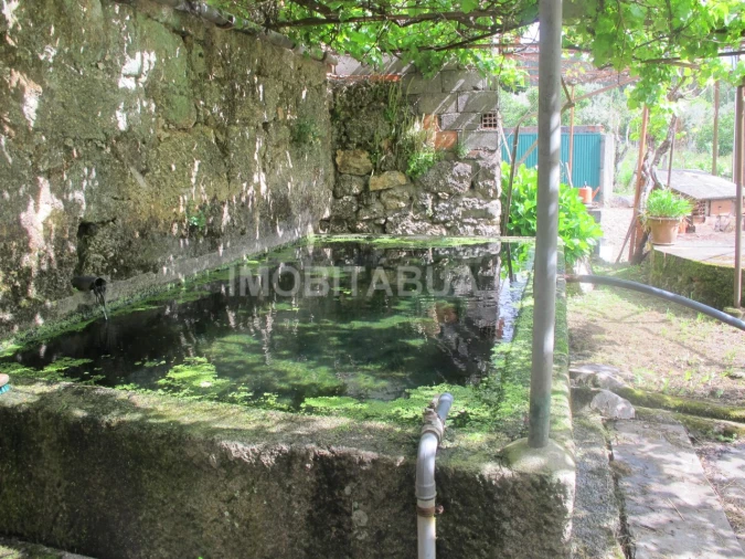 Moradia T4 para Venda em Tabua Foto 23