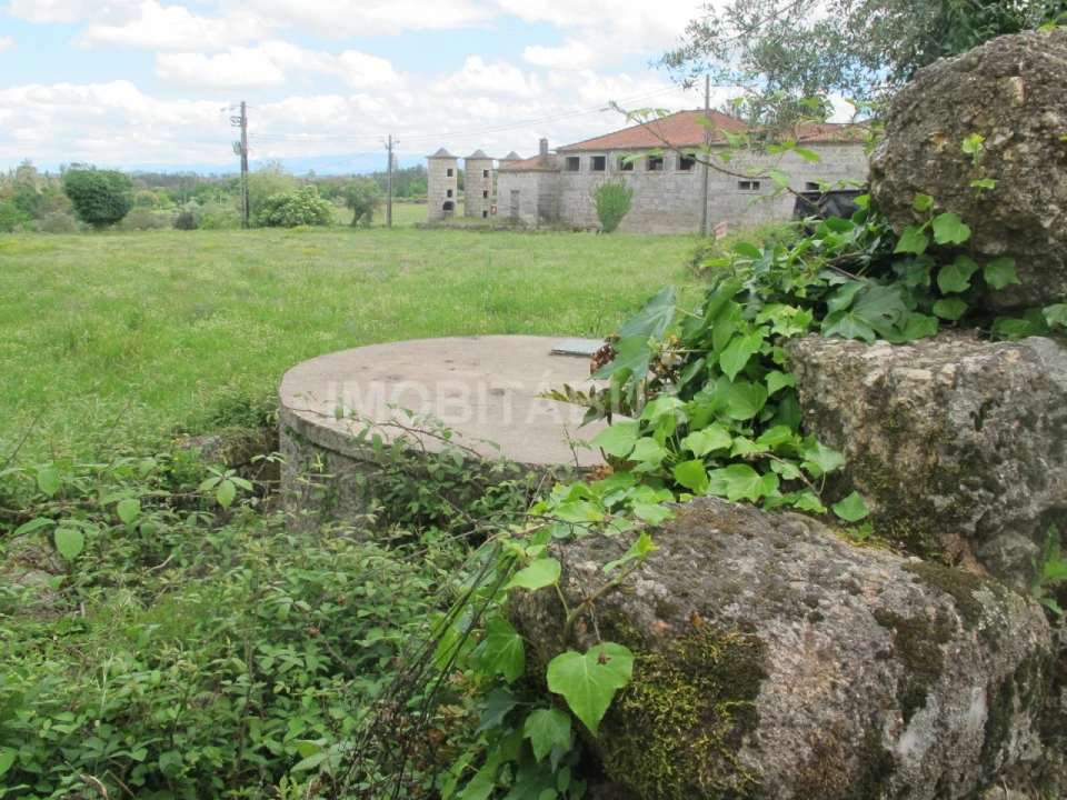 Terreno para Venda em Ázere e Covelo Foto 3