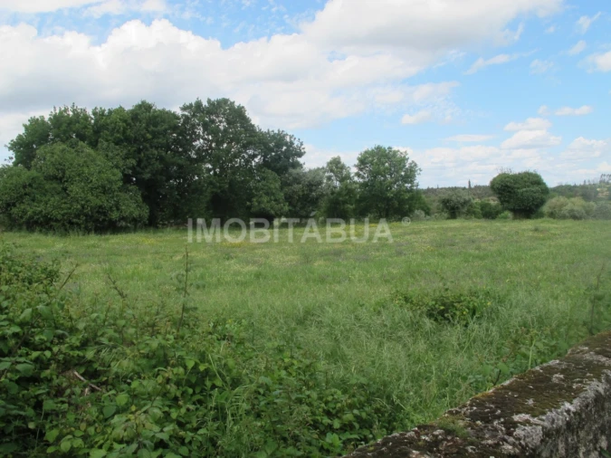 Terreno para Venda em Ázere e Covelo Foto 2