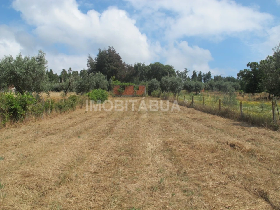 Moradia T9 para Venda em São João de Areias Foto 32