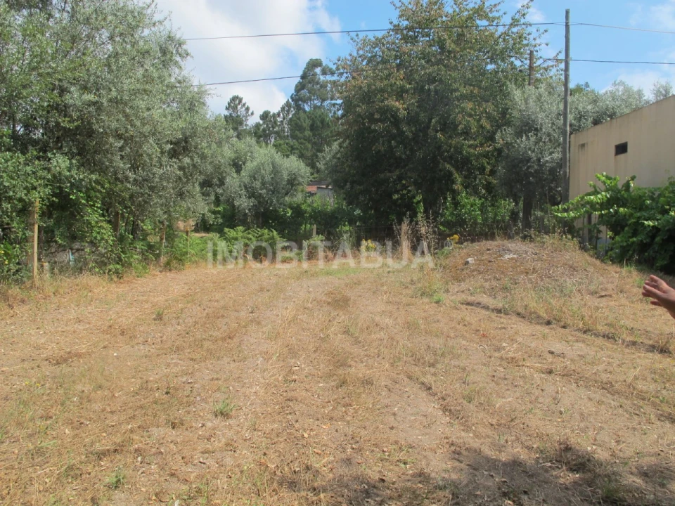 Moradia T9 para Venda em São João de Areias Foto 34