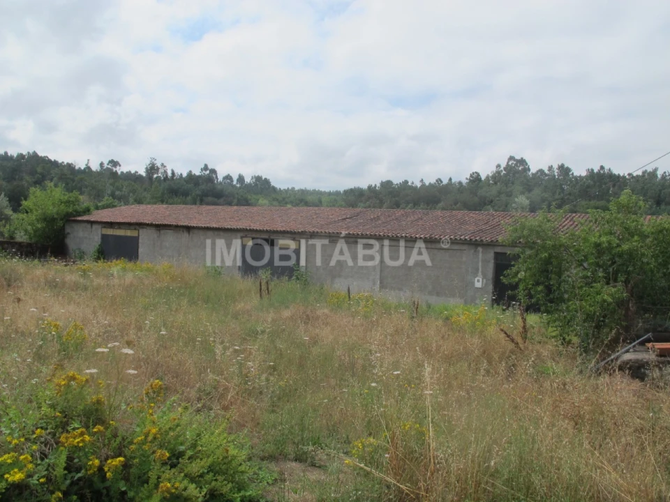 Moradia T9 para Venda em São João de Areias Foto 31