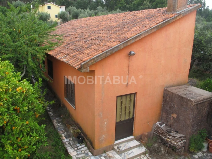 Moradia T9 para Venda em São João de Areias Foto 25