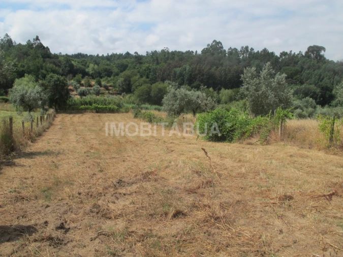 Moradia T9 para Venda em São João de Areias Foto 35