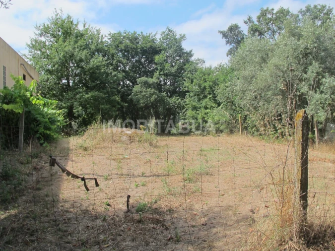 Moradia T9 para Venda em São João de Areias Foto 33