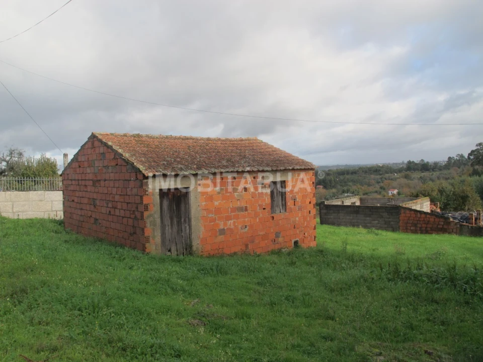 Terreno Agricola ou Rústico para Venda em Covas e Vila Nova de Oliveirinha Foto 1