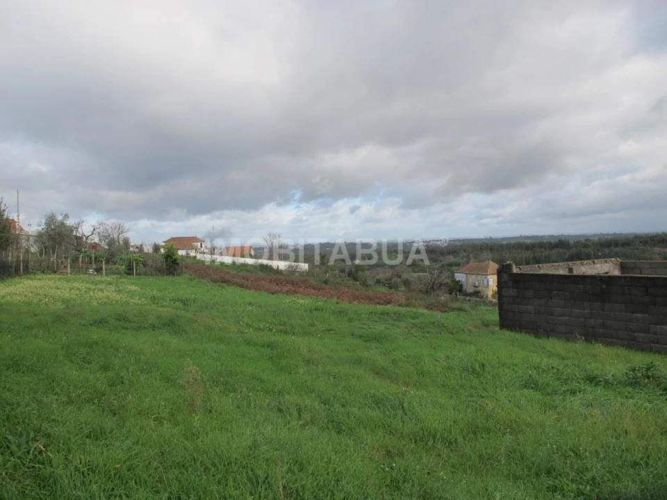 Terreno Agricola ou Rústico para Venda em Covas e Vila Nova de Oliveirinha Foto 2