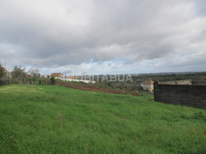 Terreno Agricola ou Rústico para Venda em Covas e Vila Nova de Oliveirinha Foto 2