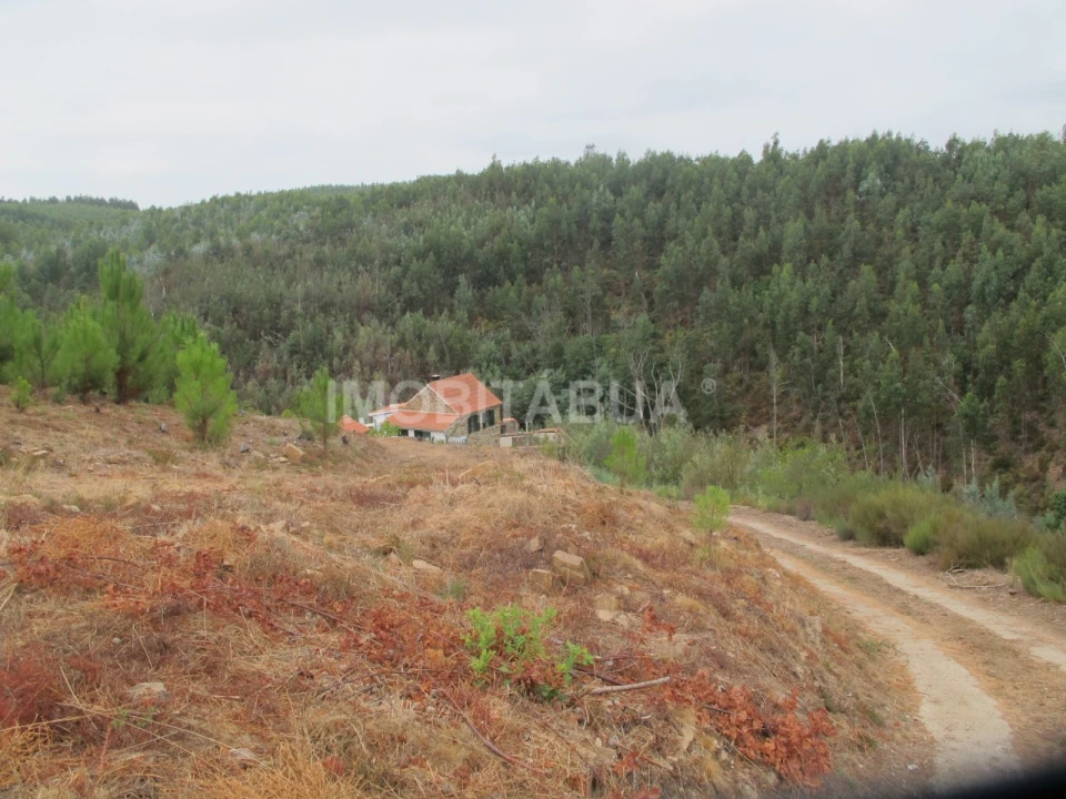 Moradia T1 para Venda em Ázere e Covelo Foto 10