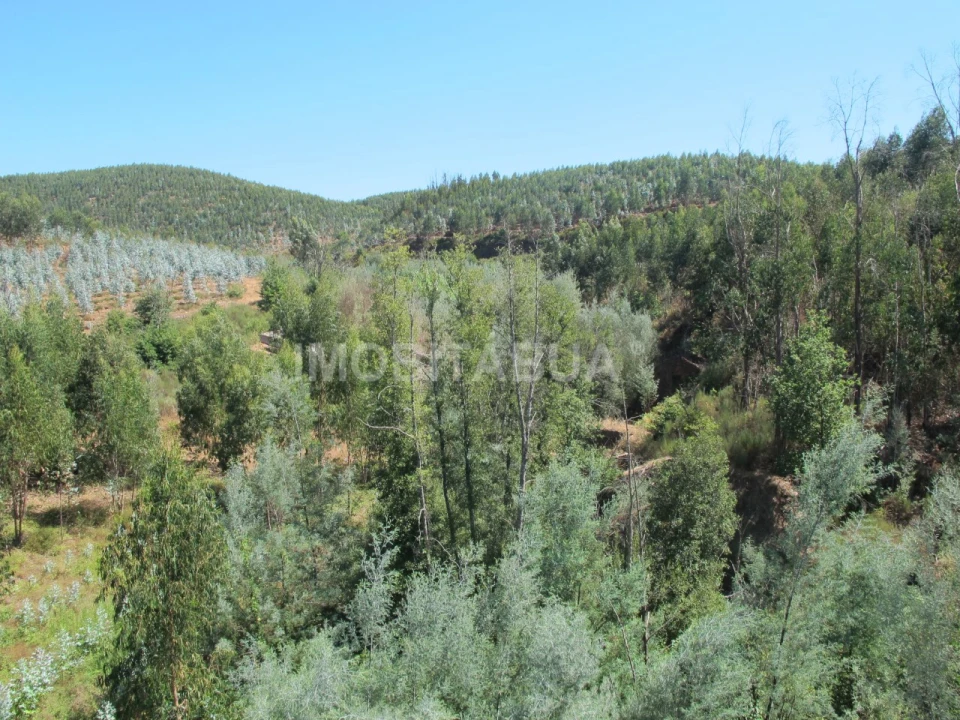 Moradia T1 para Venda em Ázere e Covelo Foto 16