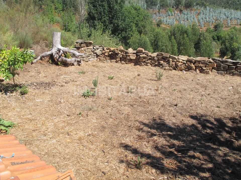 Moradia T1 para Venda em Ázere e Covelo Foto 17