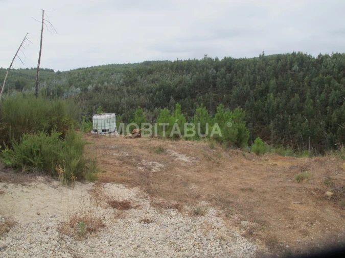 Moradia T1 para Venda em Ázere e Covelo Foto 19