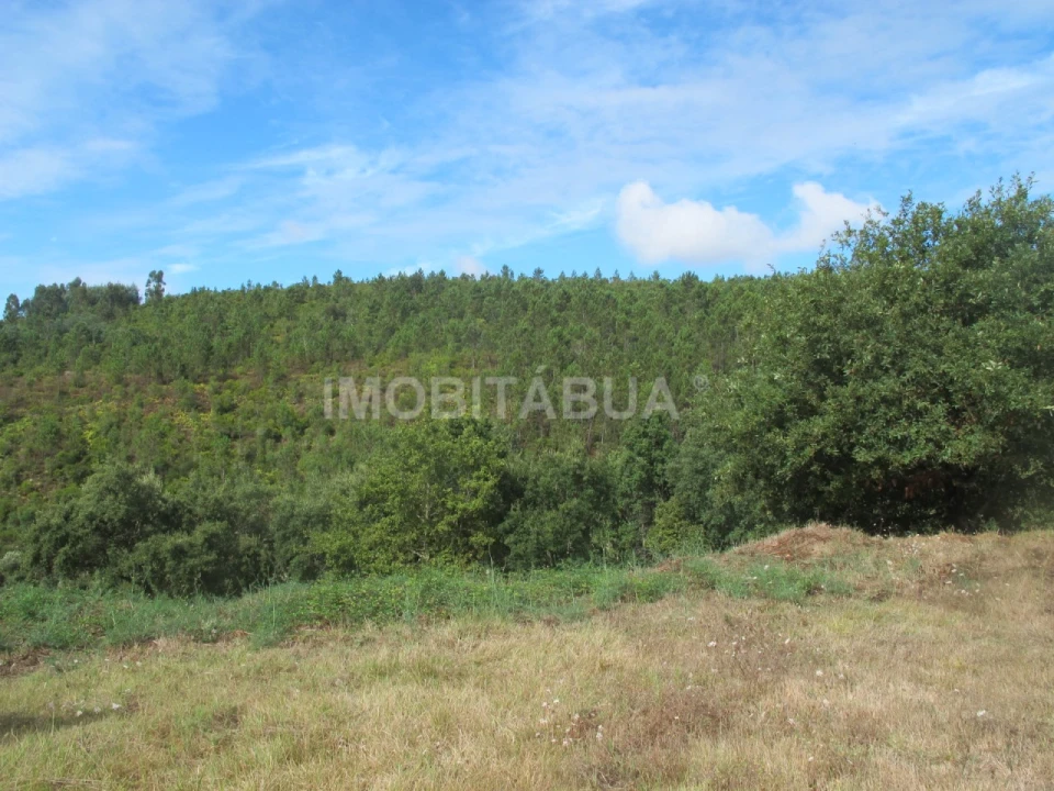 Terreno para Venda em Mouronho Foto 4