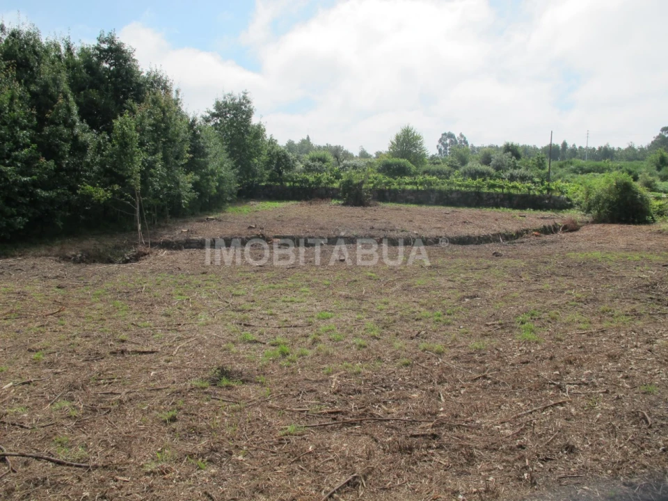 Terreno para Venda em Covas e Vila Nova de Oliveirinha Foto 5