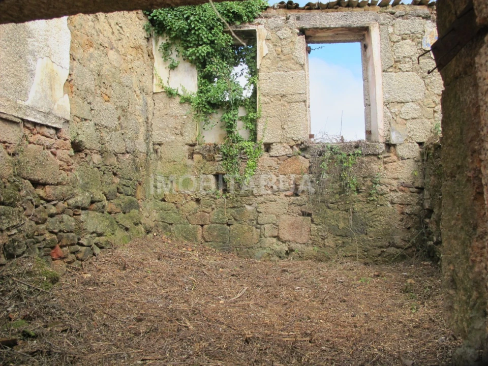 Terreno para Venda em Covas e Vila Nova de Oliveirinha Foto 10