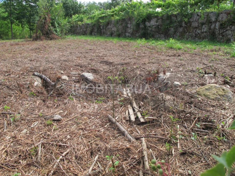 Terreno para Venda em Covas e Vila Nova de Oliveirinha Foto 12