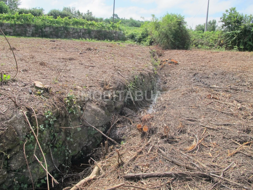 Terreno para Venda em Covas e Vila Nova de Oliveirinha Foto 13