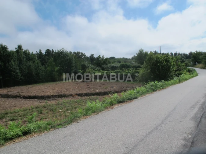 Terreno para Venda em Covas e Vila Nova de Oliveirinha Foto 4