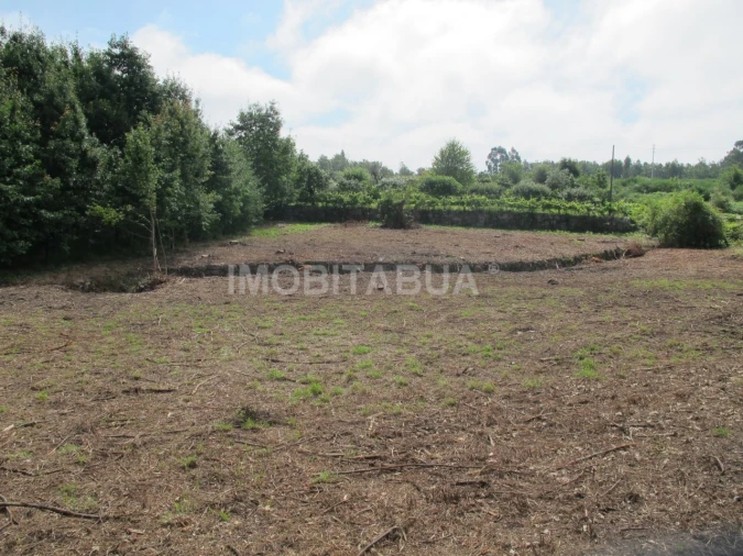Terreno para Venda em Covas e Vila Nova de Oliveirinha Foto 5