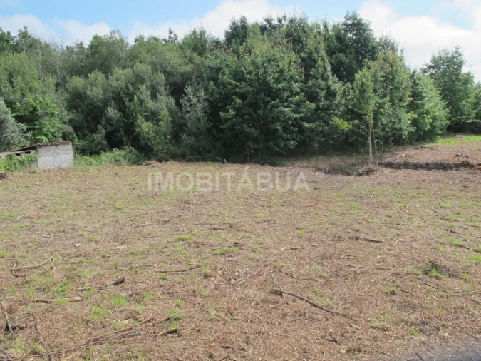 Terreno para Venda em Covas e Vila Nova de Oliveirinha Foto 6