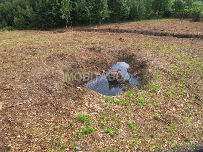 Terreno para Venda em Covas e Vila Nova de Oliveirinha Foto 7