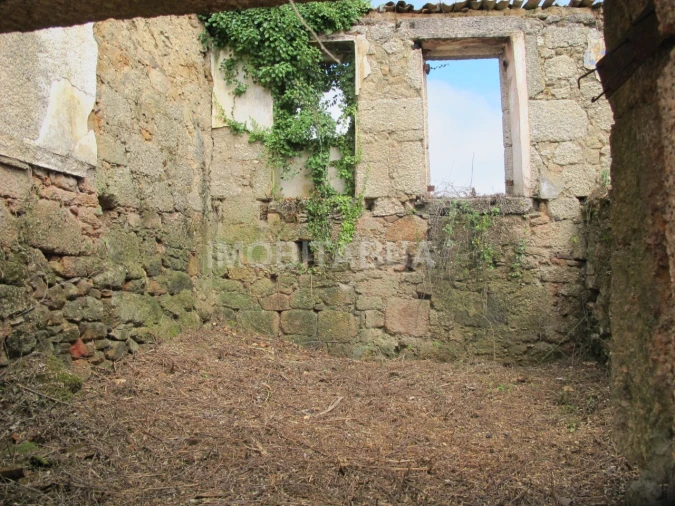Terreno para Venda em Covas e Vila Nova de Oliveirinha Foto 10