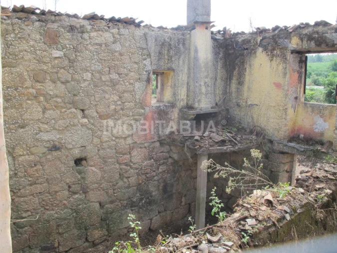 Terreno para Venda em Covas e Vila Nova de Oliveirinha Foto 11