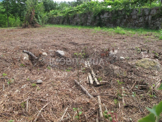 Terreno para Venda em Covas e Vila Nova de Oliveirinha Foto 12