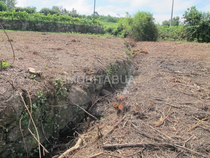 Terreno para Venda em Covas e Vila Nova de Oliveirinha Foto 13