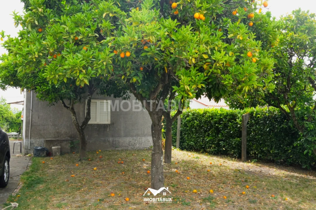 Moradia T2 para Venda em Parada Foto 10