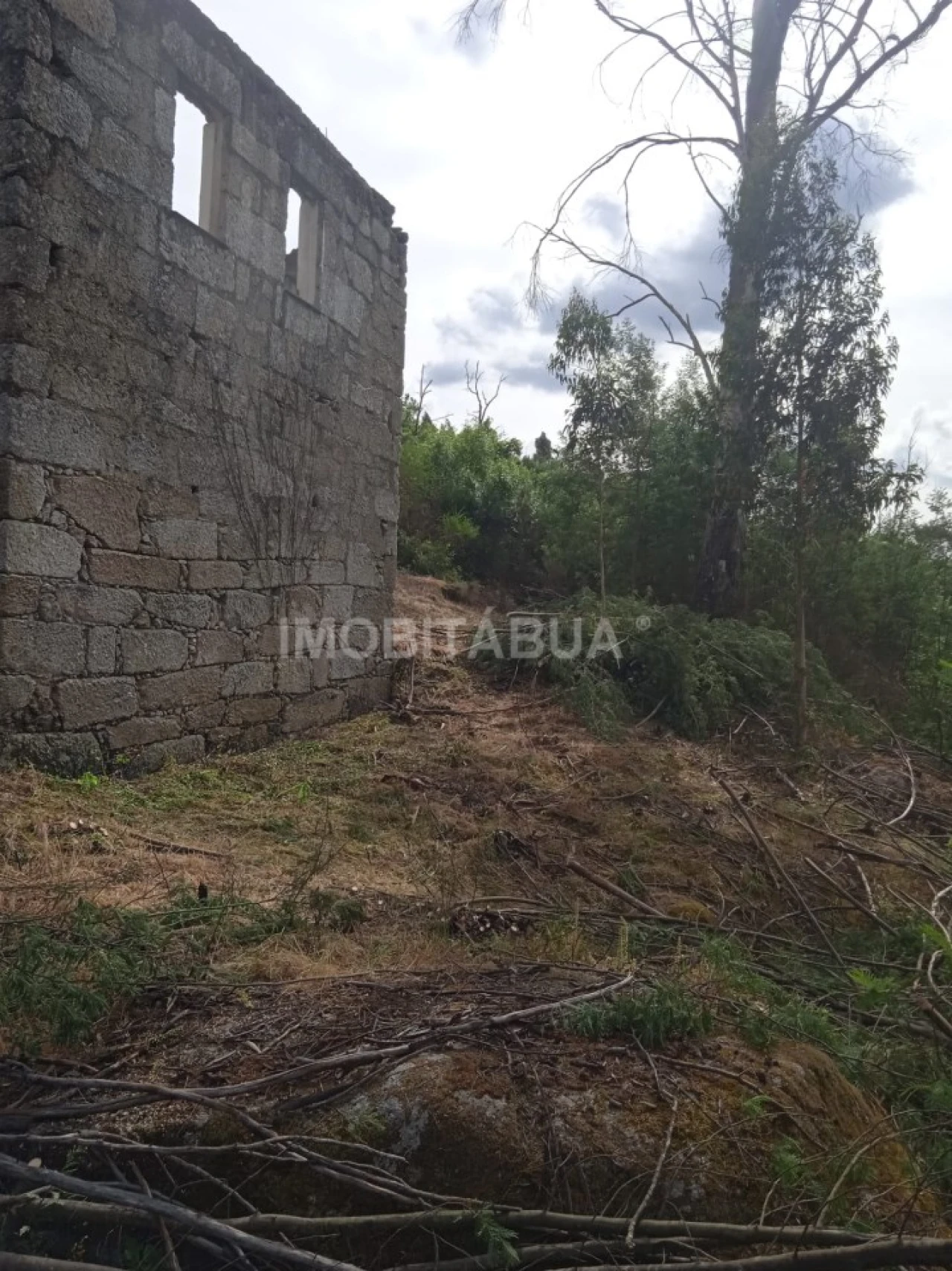 Terreno para Venda em Travanca de Lagos Foto 2