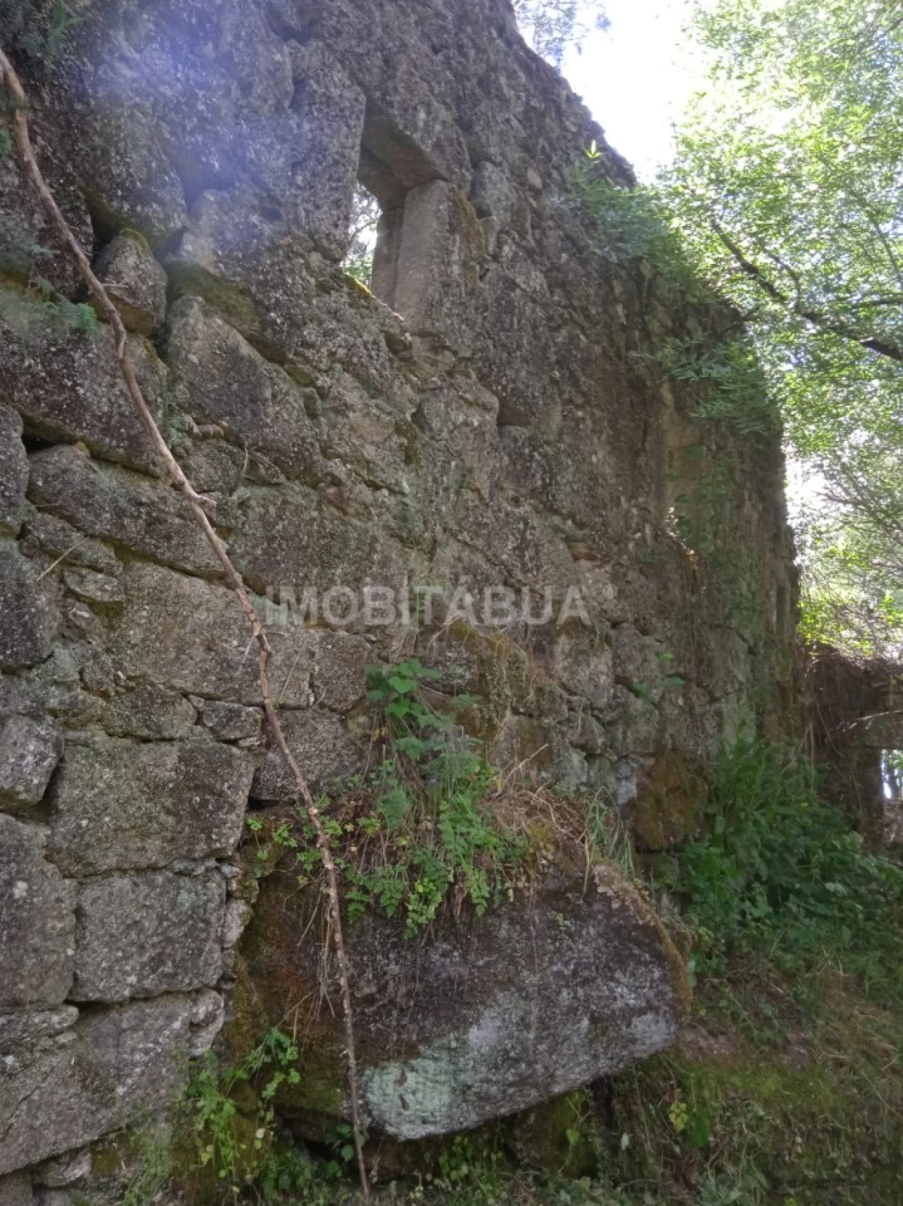 Terreno para Venda em Travanca de Lagos Foto 4