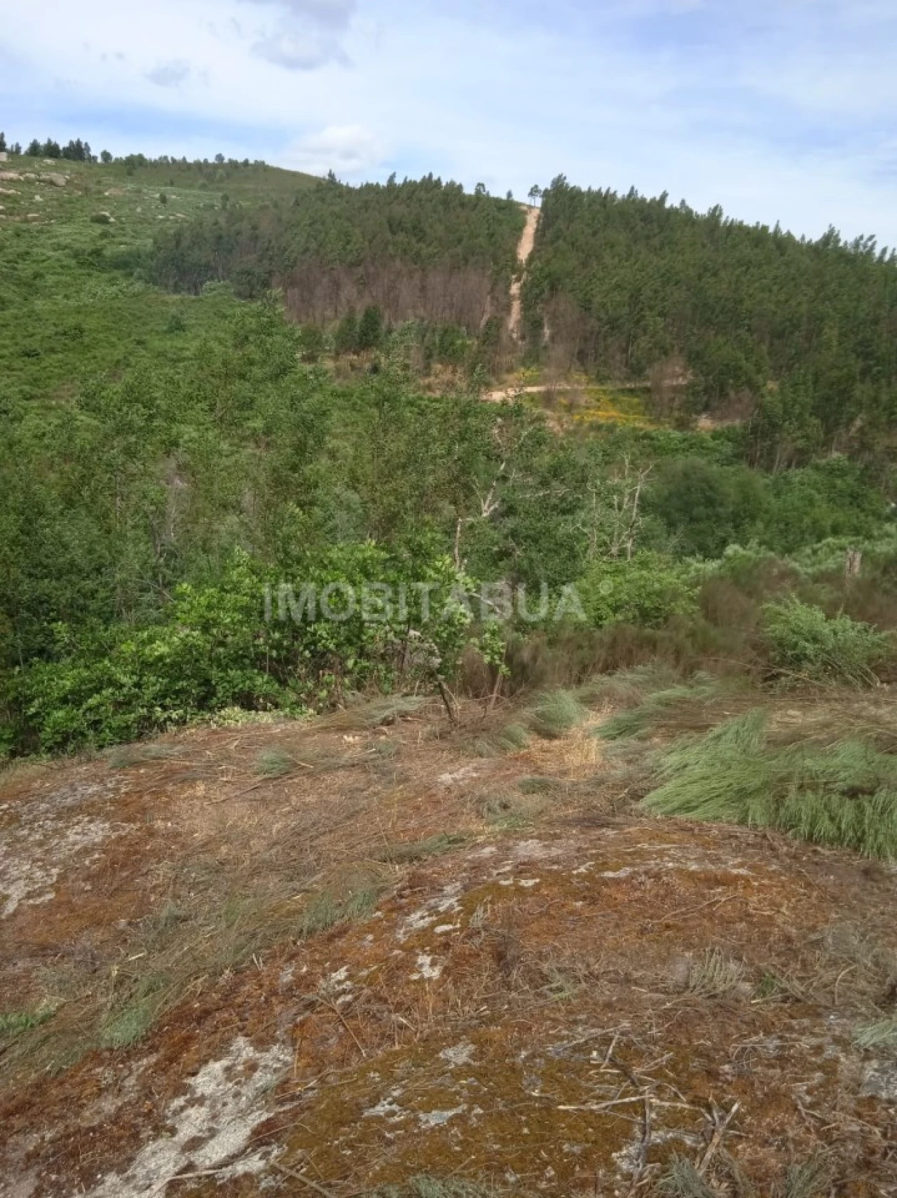 Terreno para Venda em Travanca de Lagos Foto 9