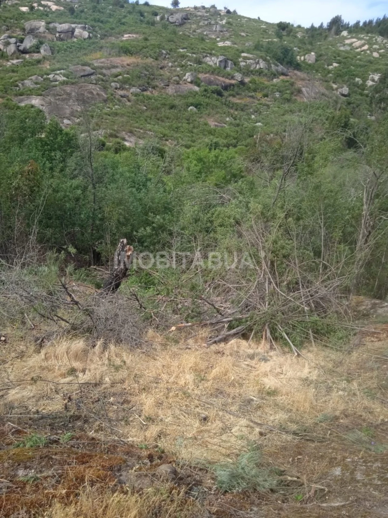 Terreno para Venda em Travanca de Lagos Foto 10