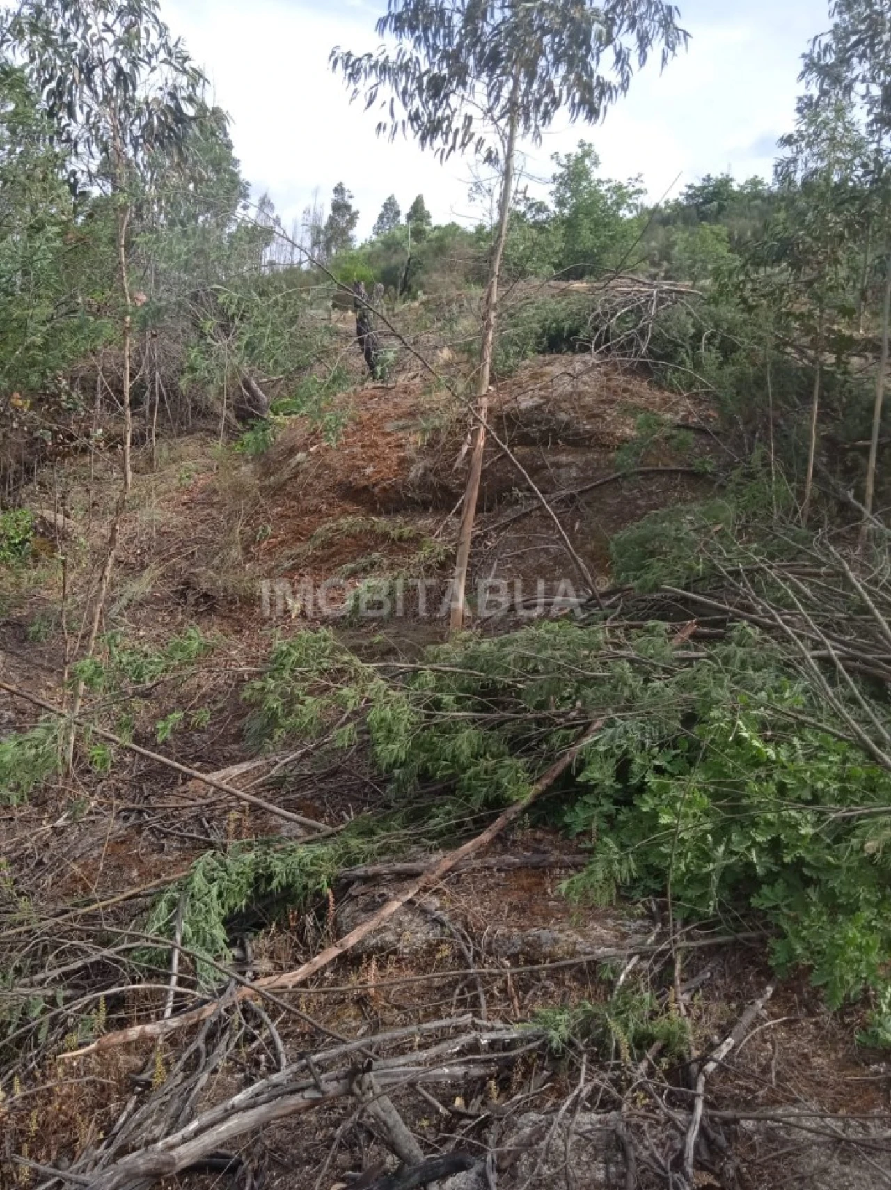 Terreno para Venda em Travanca de Lagos Foto 12