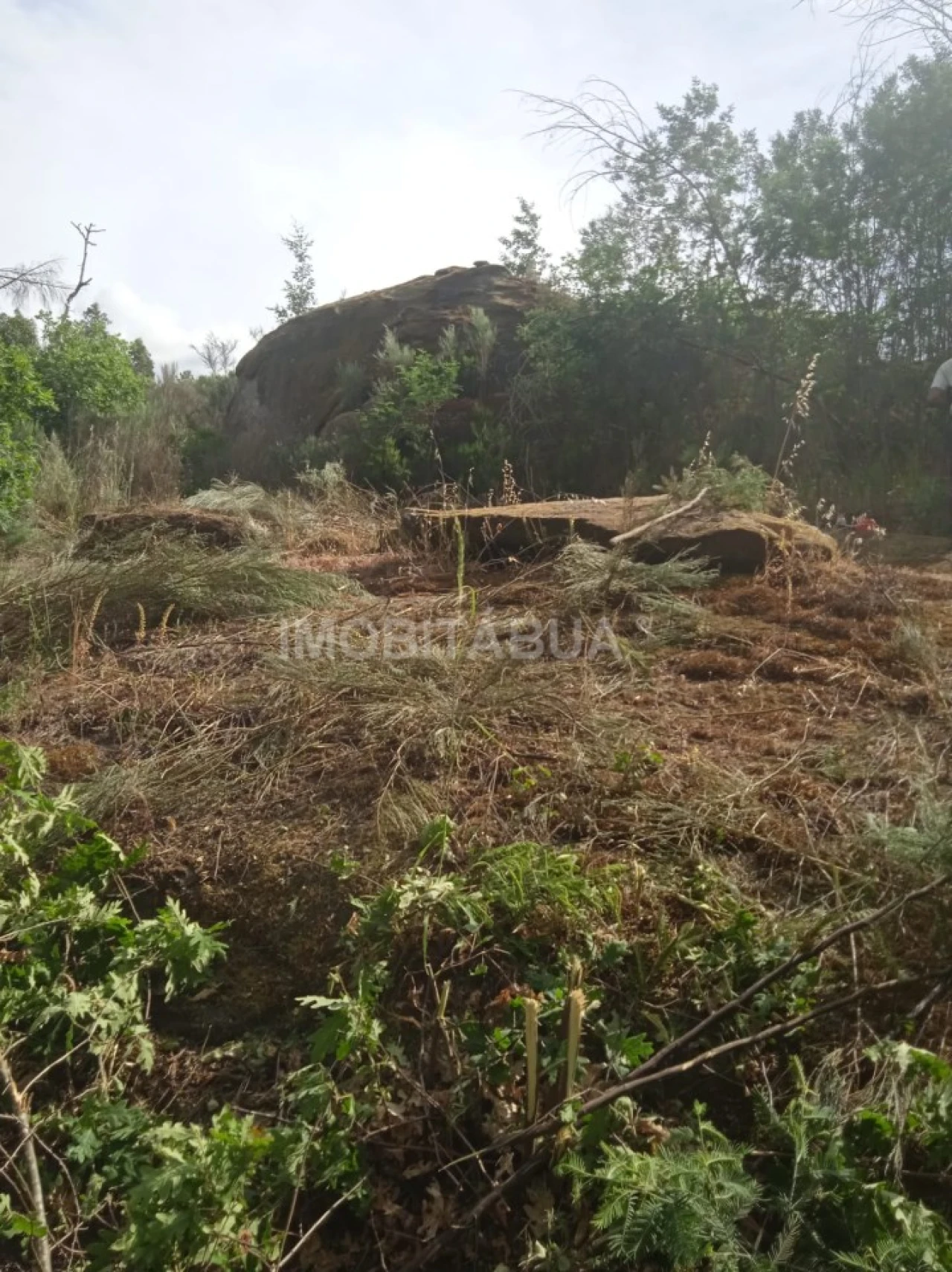 Terreno para Venda em Travanca de Lagos Foto 13