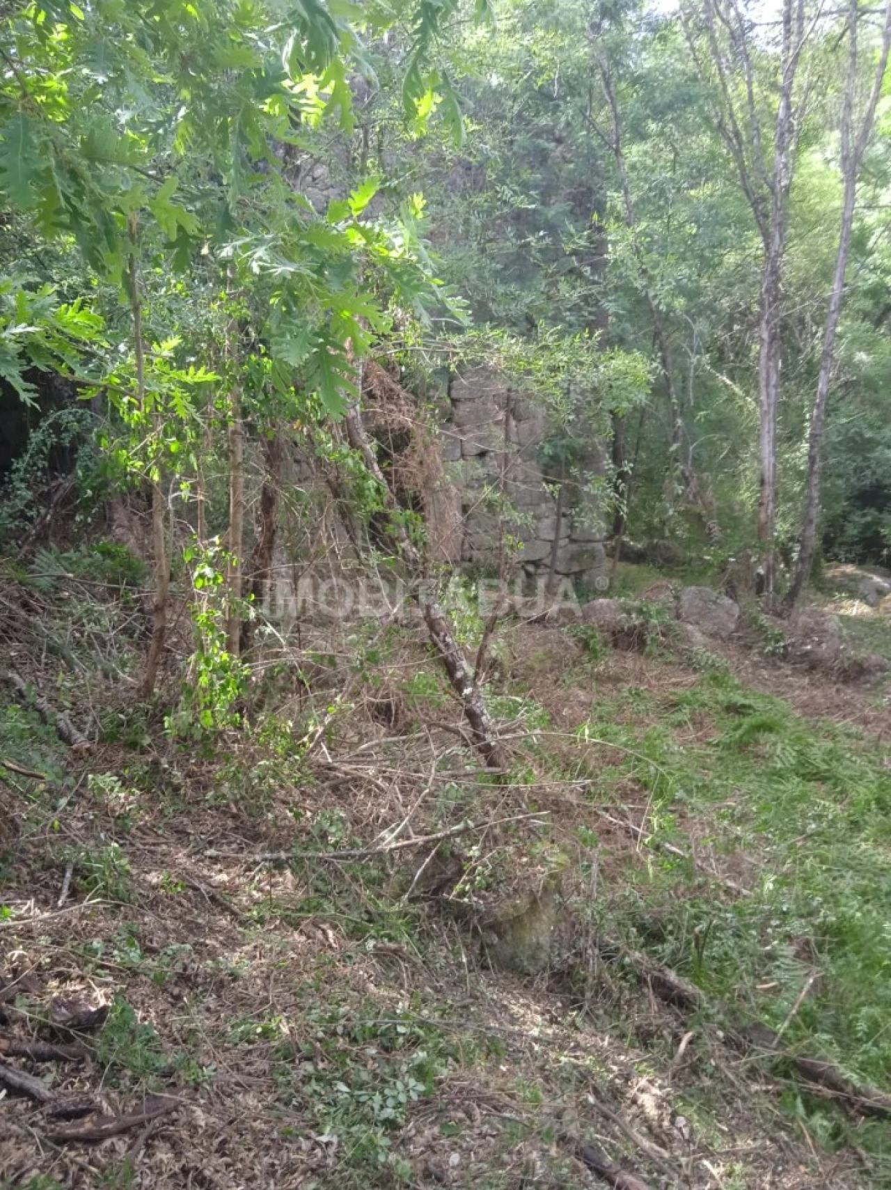 Terreno para Venda em Travanca de Lagos Foto 20