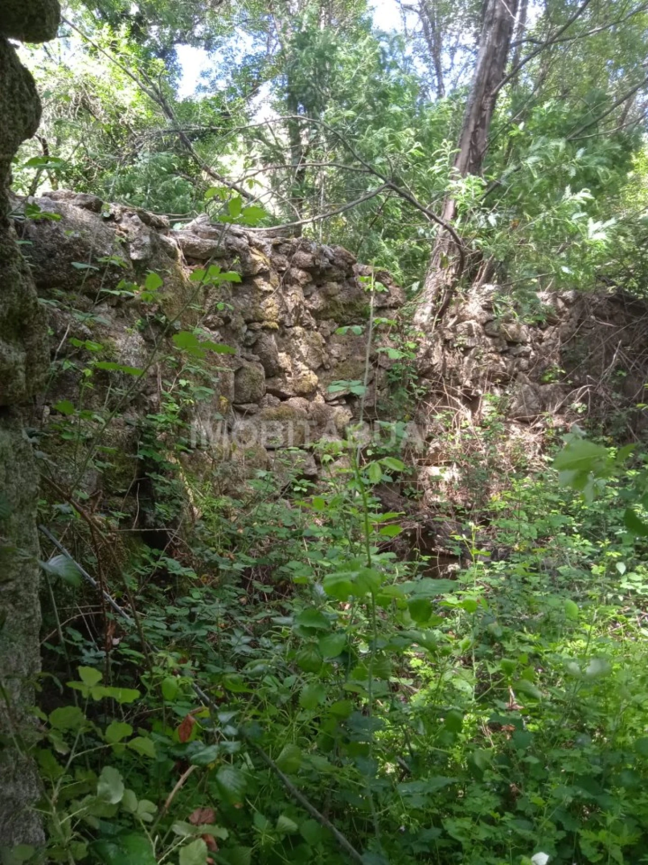 Terreno para Venda em Travanca de Lagos Foto 25