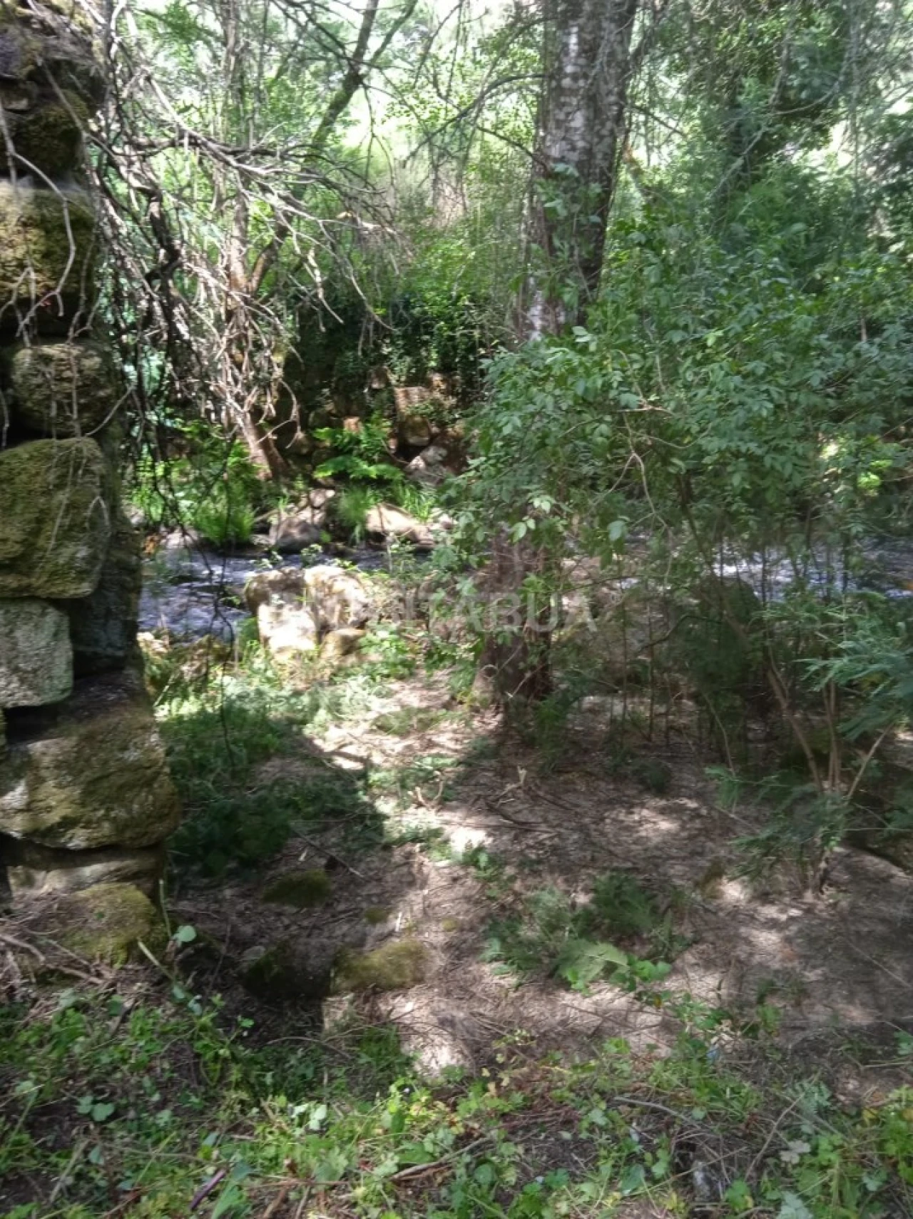 Terreno para Venda em Travanca de Lagos Foto 26