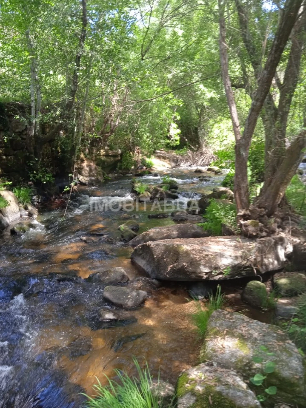 Terreno para Venda em Travanca de Lagos Foto 28
